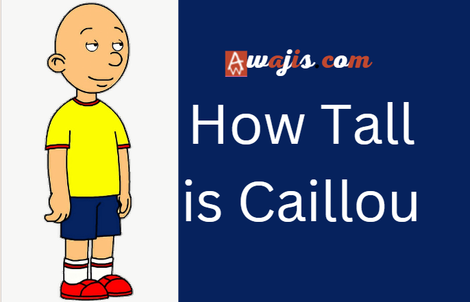 How tall is Caillou
