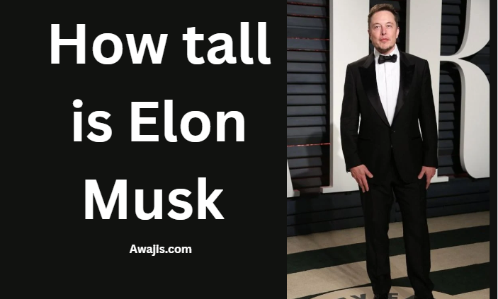 How tall is Elon Musk