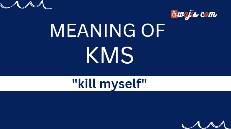 meaning of kms