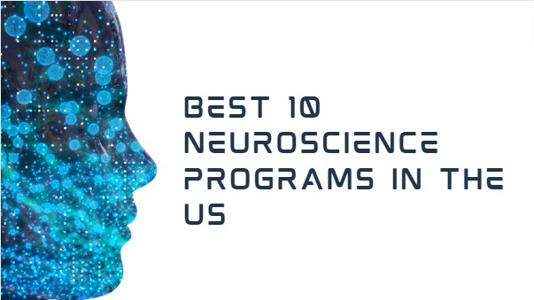 neuroscience phd programs in usa