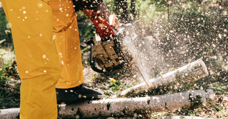 14 Places to Find Free Firewood Near Me 2025 Guide 14 Places to Find Free Firewood Near Me 2025 Guide