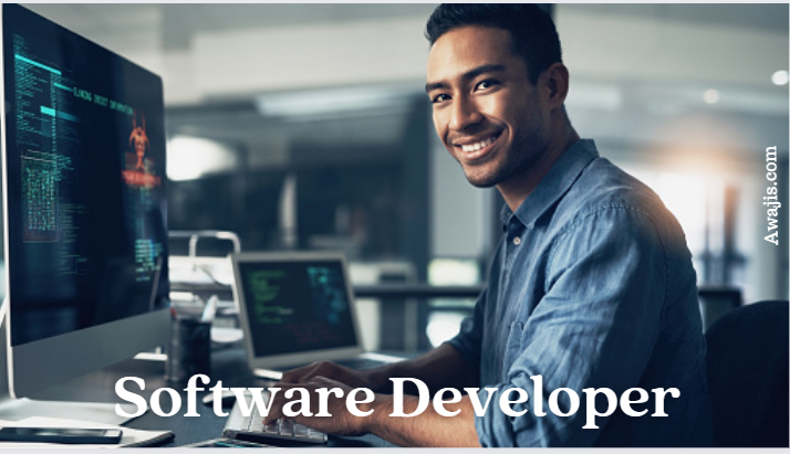 Software Developer