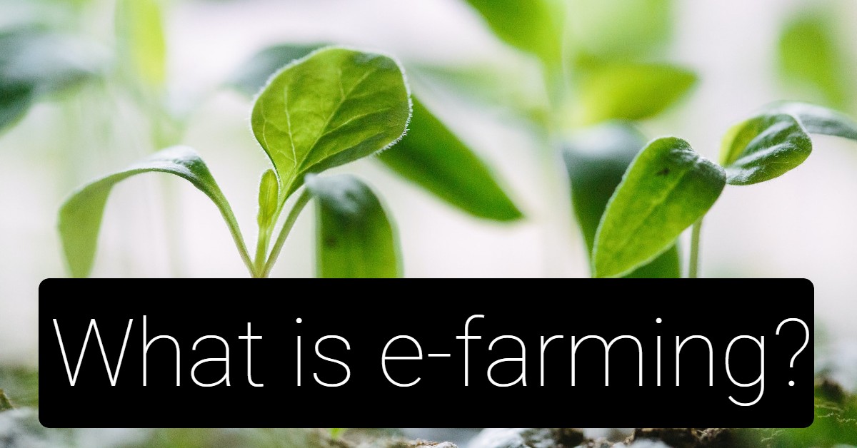 What is e-farming?