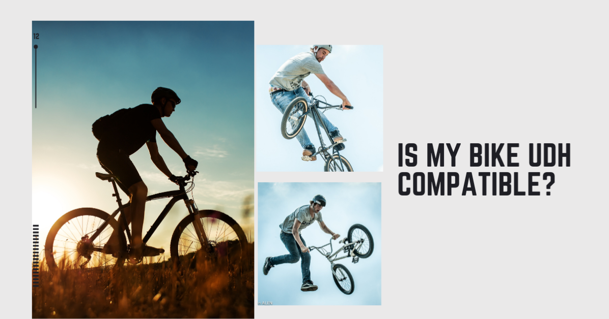 Is My Bike UDH Compatible? How to check compatibility