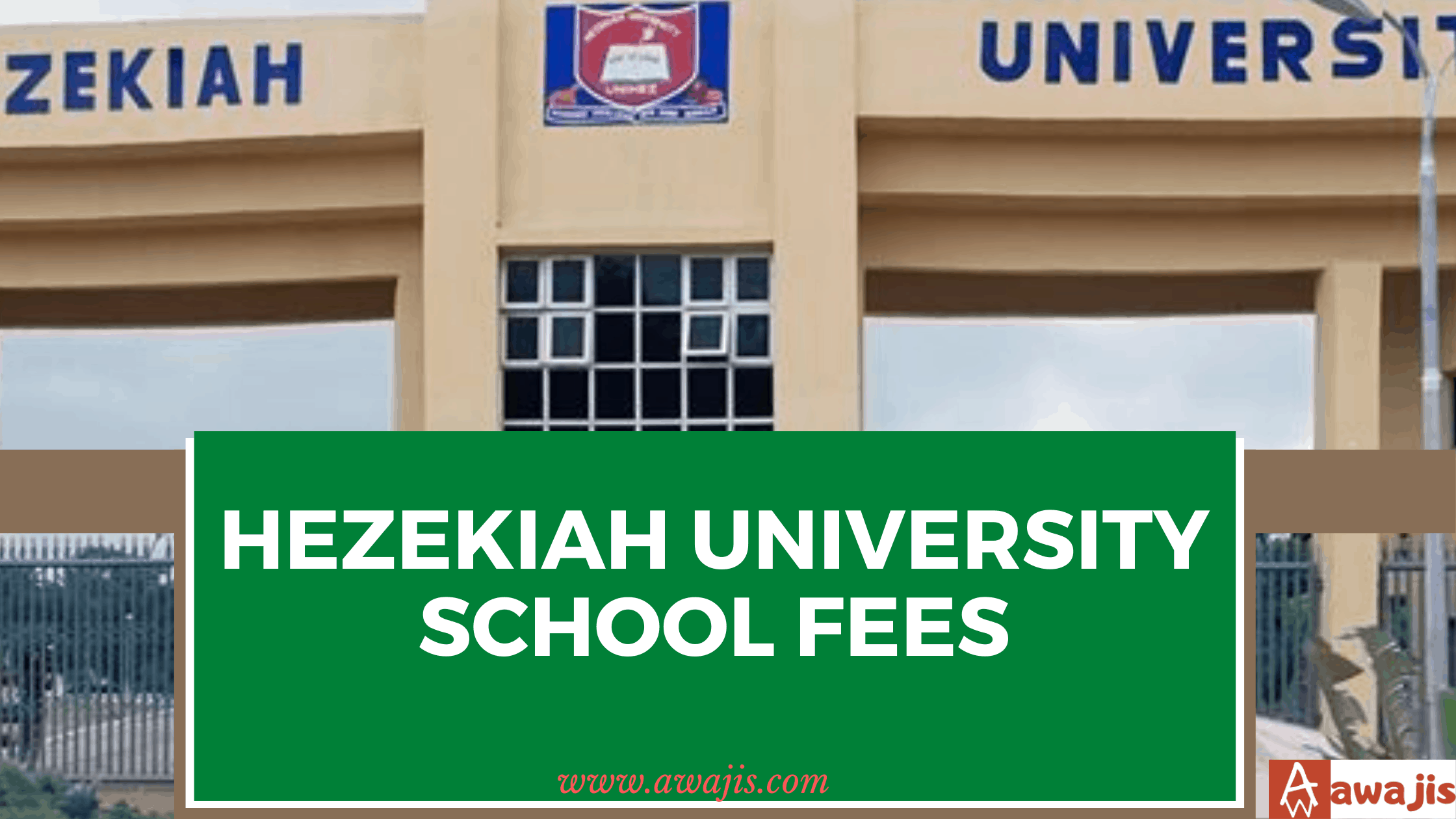 Hezekiah University School Fees.png
