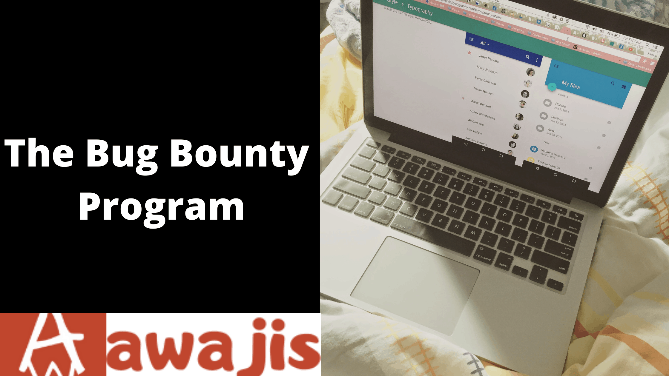 The Bug Bounty Program: Making Money Legally As A Hacker