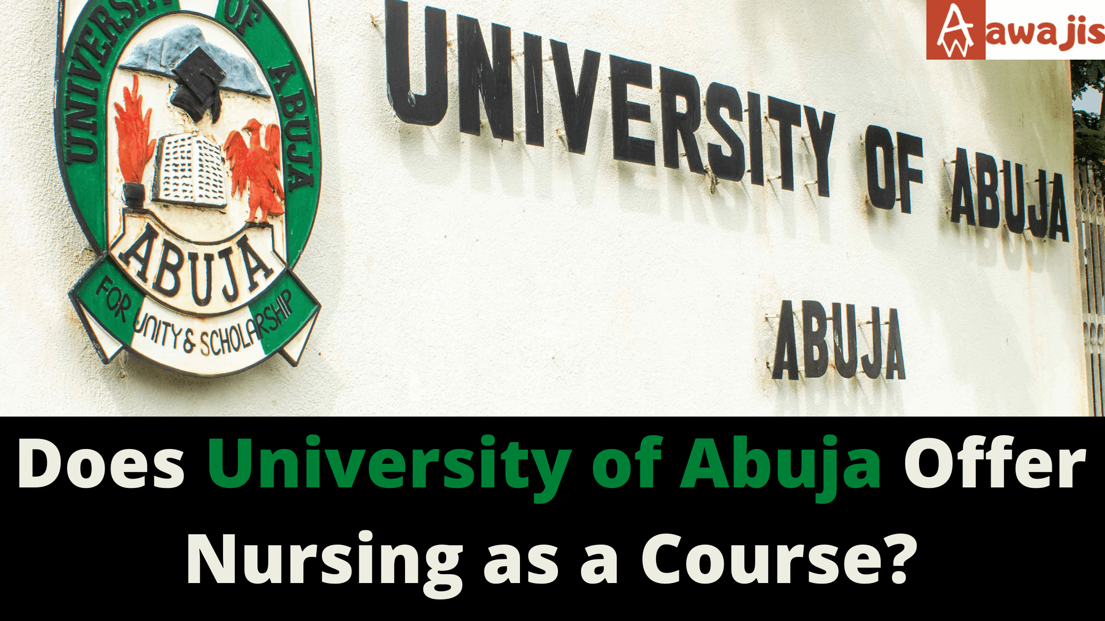 Does University of Abuja Offer Nursing?