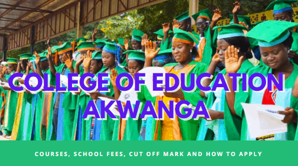 case study college of education akwanga