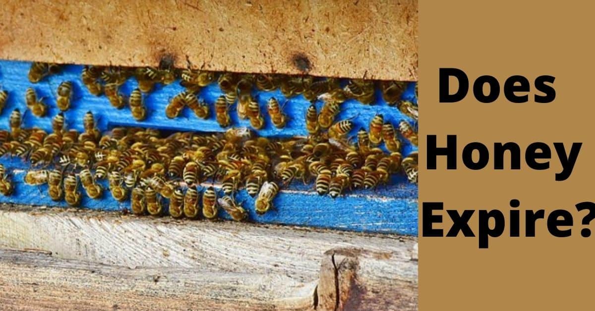 Does Honey Expire_