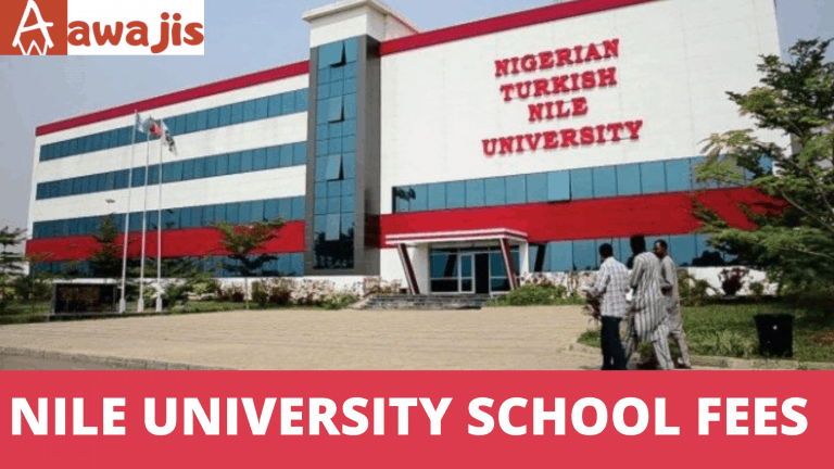 Nile University School Fees