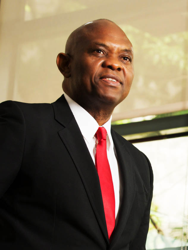 Complete Biography and Net Worth of Tony Elumelu