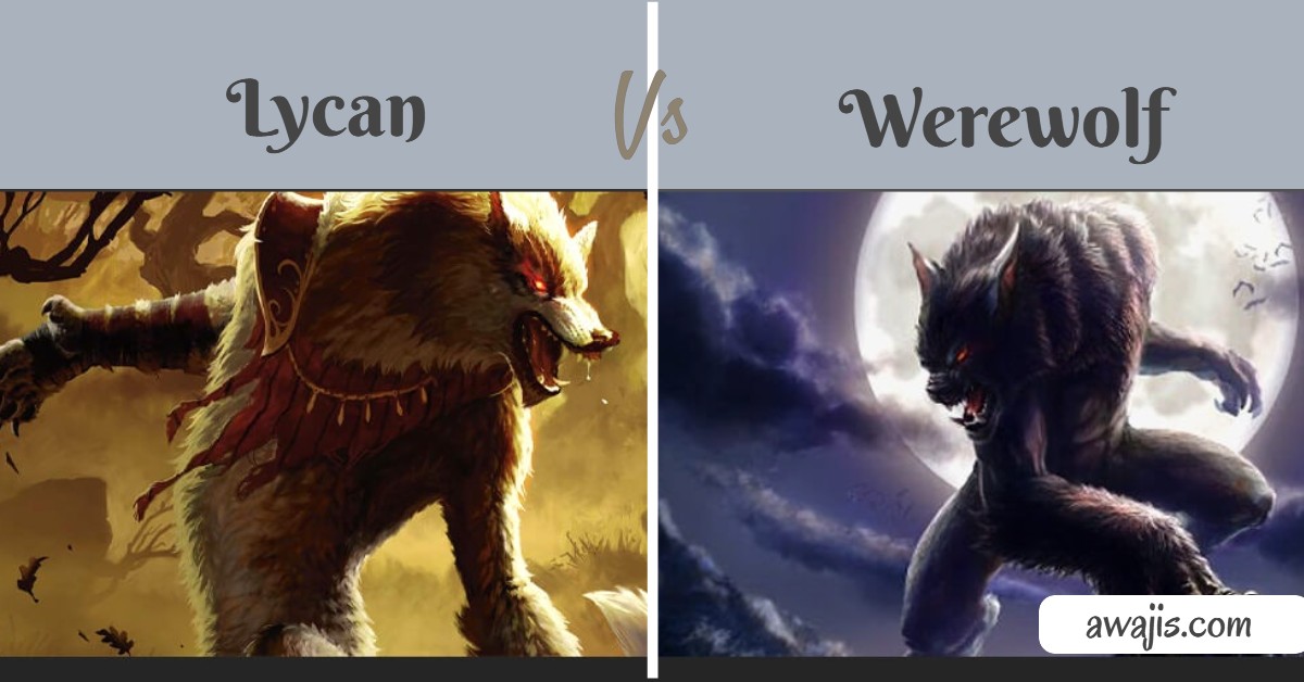 What Is A Lycan Vs Werewolf