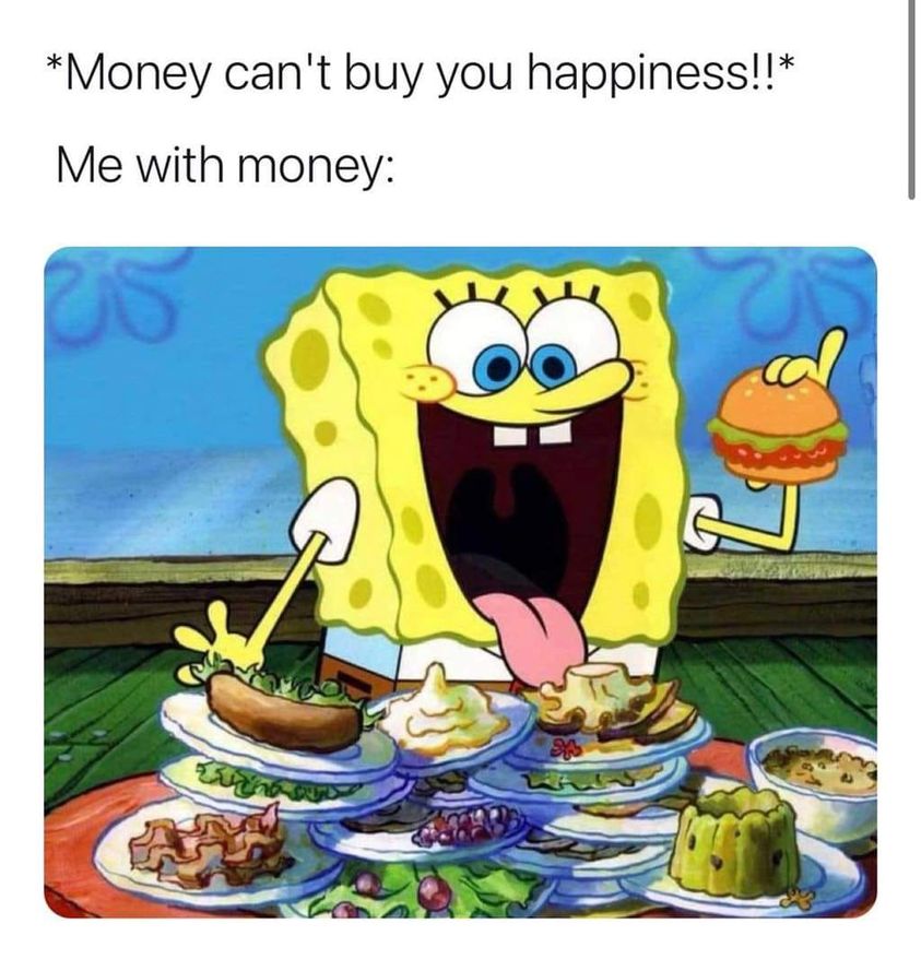 A meme of text - "Money can't buy happiness" me with money 