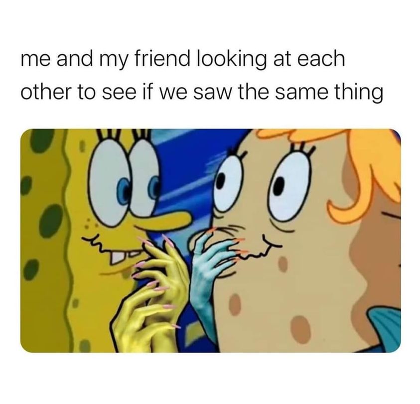 Me and my friend looking at each other to see if we saw the same thing 