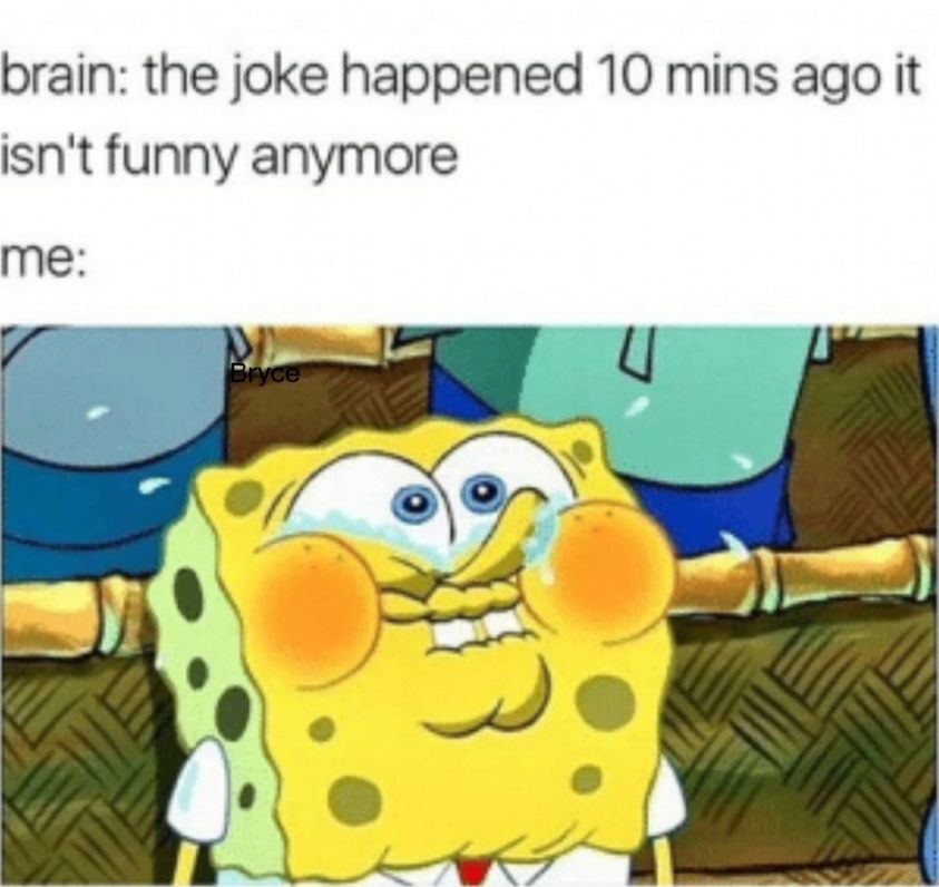 Brain: the joke happened 10 mins ago it isn't funny anymore, me 