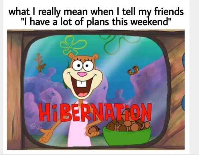Spongebob memes - What I really mean when i tell my friends " i have a lot of plans for the weekend"