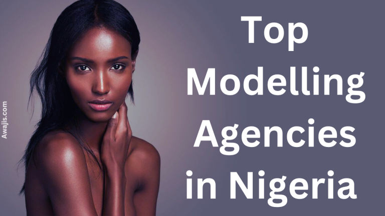 Top Modelling Agencies in Nigeria