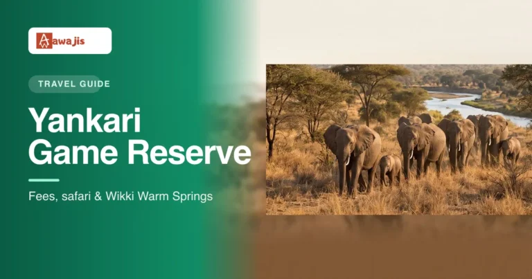 Elephants in Yankari Game Reserve, Bauchi State
